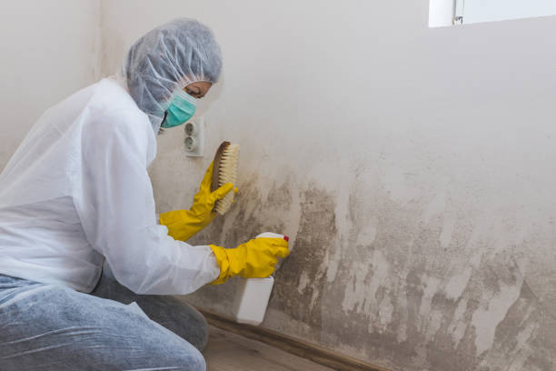 Best Water Damage & Mold Remediation  in Chickamau, GA