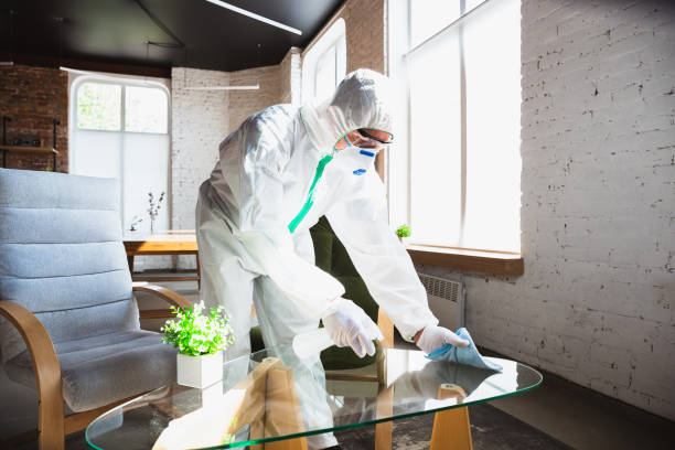 Best Biohazard Mold Removal  in Chickamau, GA