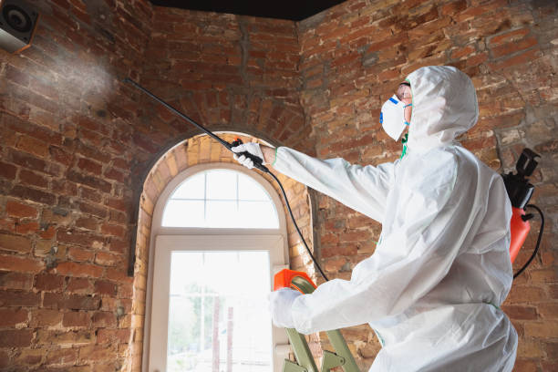 Best Residential Mold Inspection & Testing  in Chickamau, GA